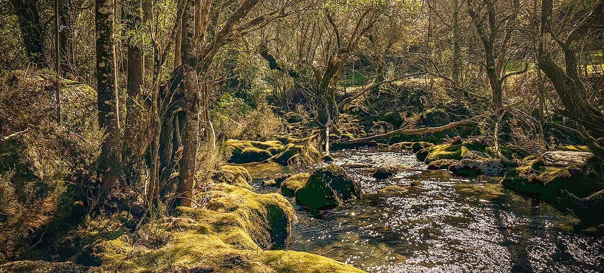 natureza no gerês