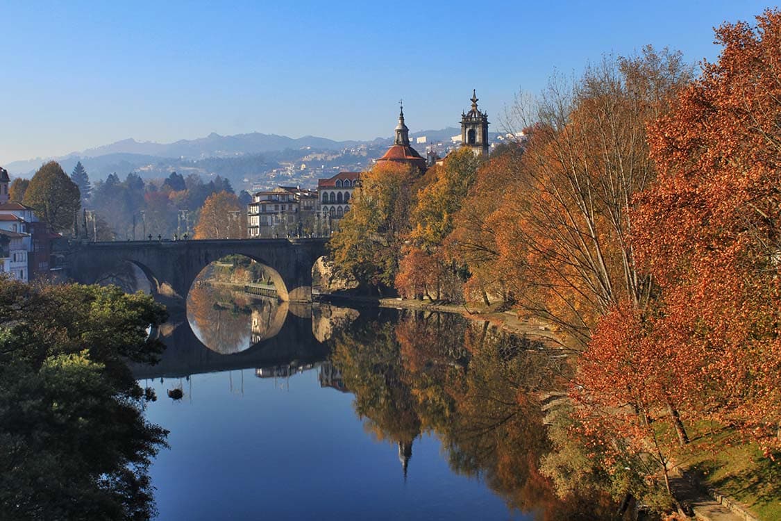 Amarante-Autumn