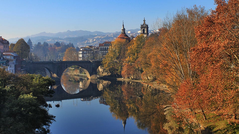 Amarante-Autumn