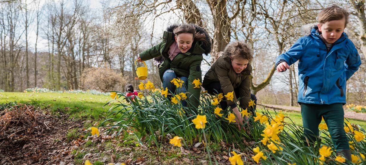 Siblings in their garden carrying buckets looking for Easter eggs in between the daffodils.