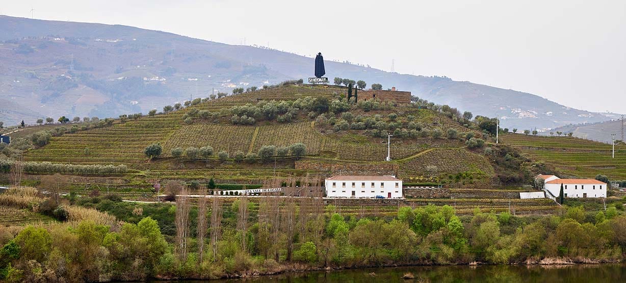 Herdade no Douro