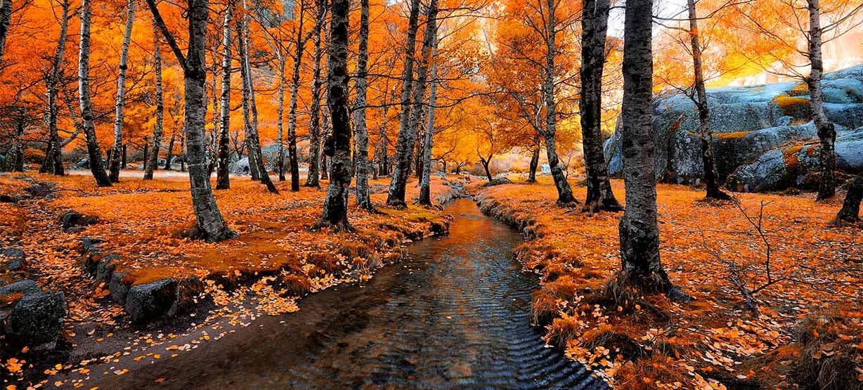 Serra da Estrela-Outono