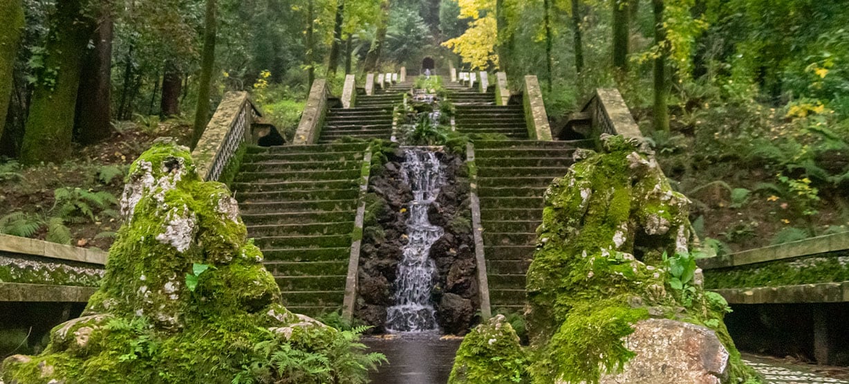 Escadaria com uma fonte de água natural a correr no meio, rodeada por uma floresta
