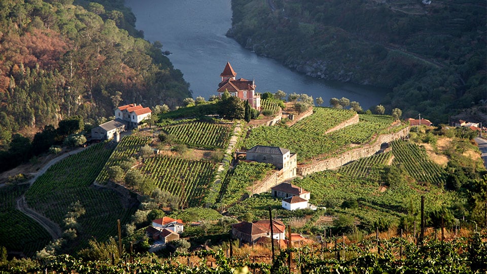 Mulher a passear no douro vinhateiro