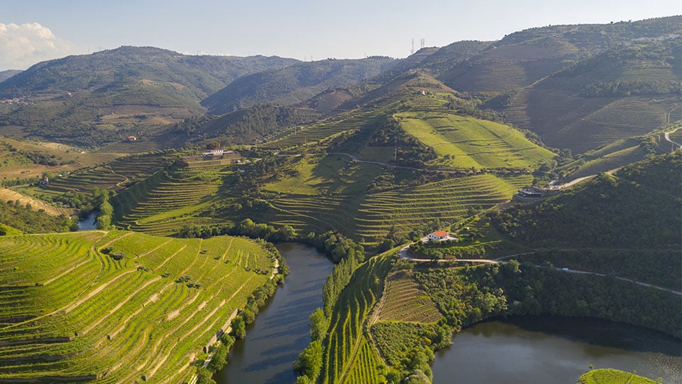 Alto douro vinhateiro